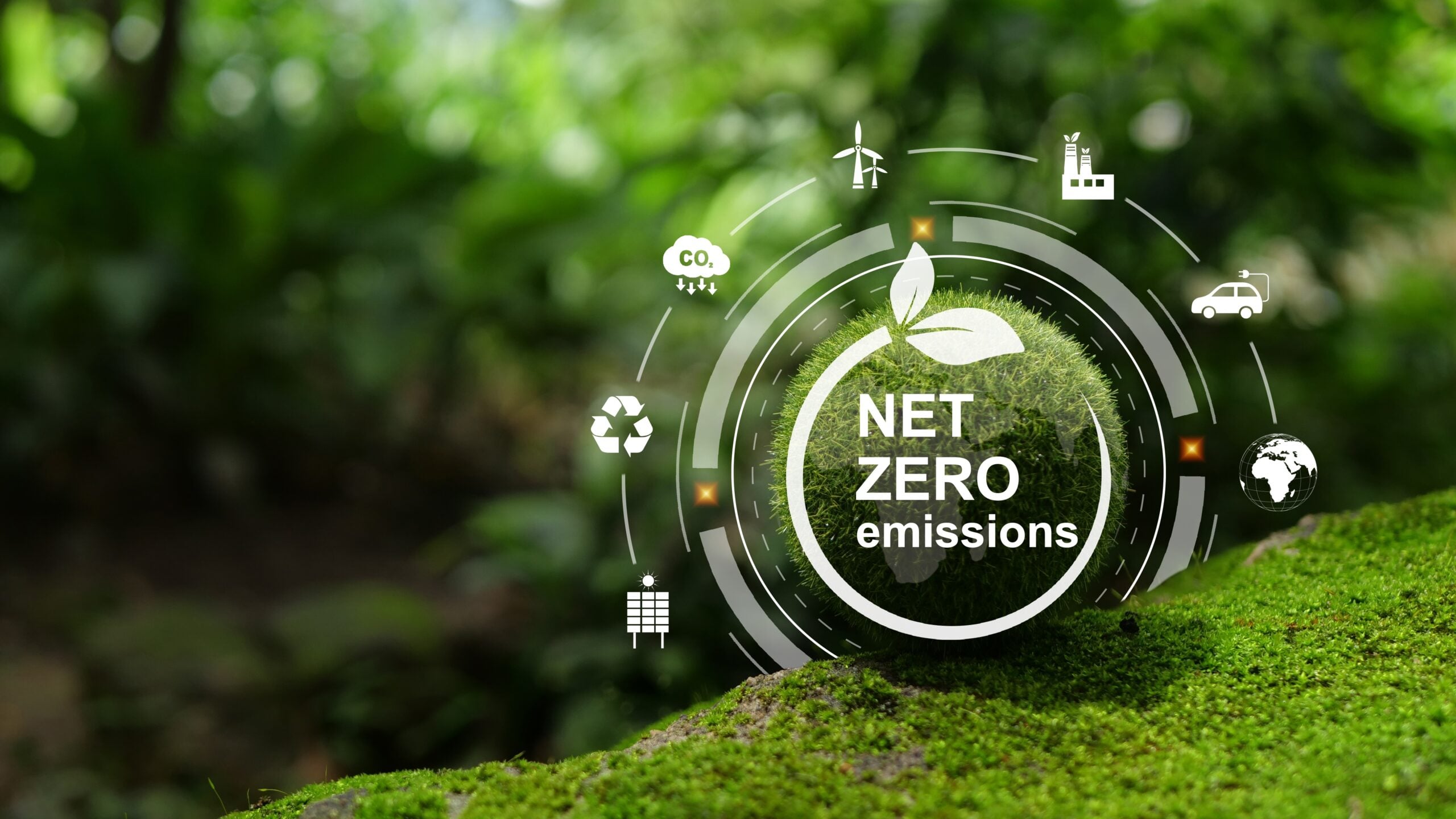 Carbon emissions in fleets scaled